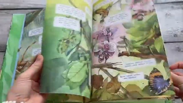 Большая книга о насекомых смотреть онлайн