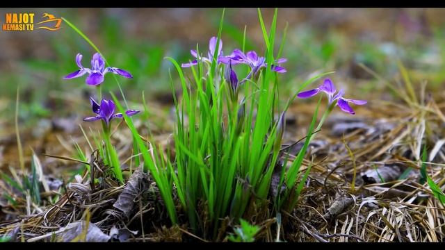 ЗИКРЛАРНИНГ ЭНГ ОСОНИ ЛЕКИН ЗИКРЛАРНИ ИЧИДА ЭНГ ЗЎРИ... ЭНГ ЯХШИ АМАЛ? смотреть онлайн