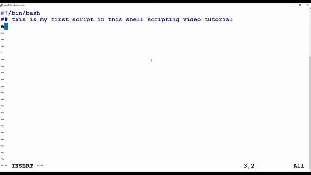 Write Exciting First Shell Script - Amazing Way To Start Learning смотреть онлайн