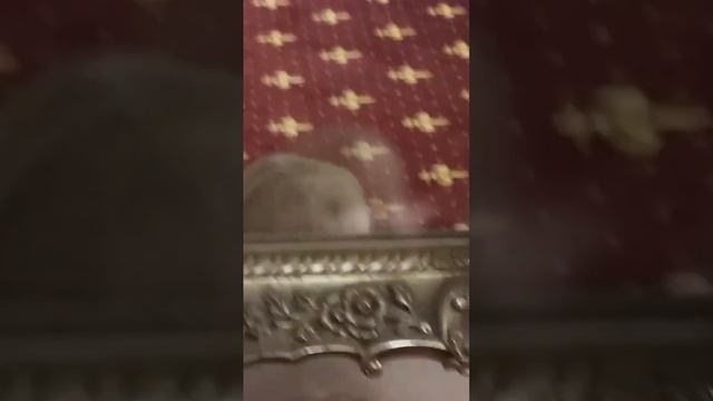 Фантом Ребенка Отражается в Зеркале смотреть онлайн