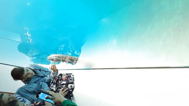 Московский зоопарк. 2 сентября 2022 г. смотреть онлайн