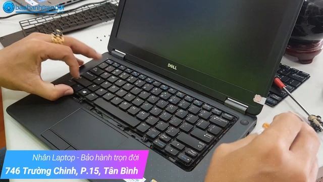 Thay bàn phím Dell Latitude E7250-Keyboard Replacement Dell E7250 | Nhân Laptop - Bảo hành trọn đời смотреть онлайн