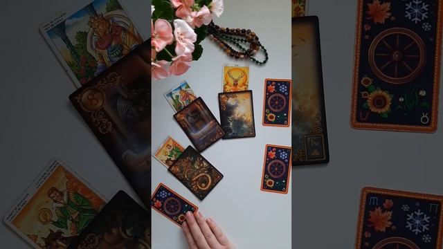 Козерiг Таро Листопад♑+карта Так чи Нi? смотреть онлайн