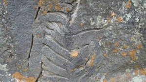 Какие бывают горные породы