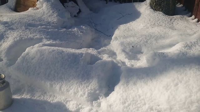 Влог. Выходной день. Поход на рынок и ремонт дачного дома смотреть онлайн
