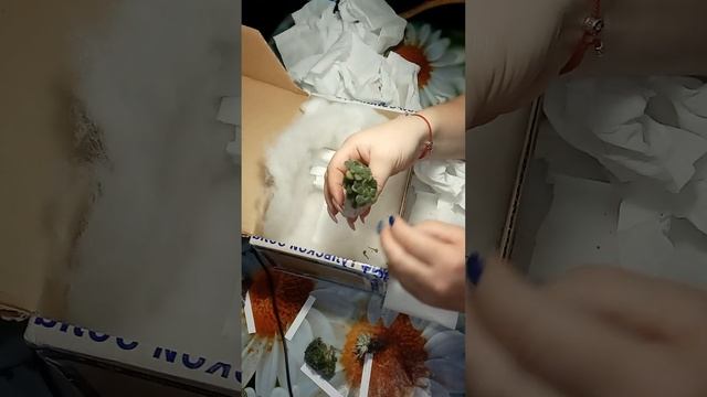 Новое увлечение. Распаковка.... Ура!!!!! смотреть онлайн