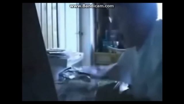 Angry German Kid: Episode 2 - AGK Gets A Virus смотреть онлайн