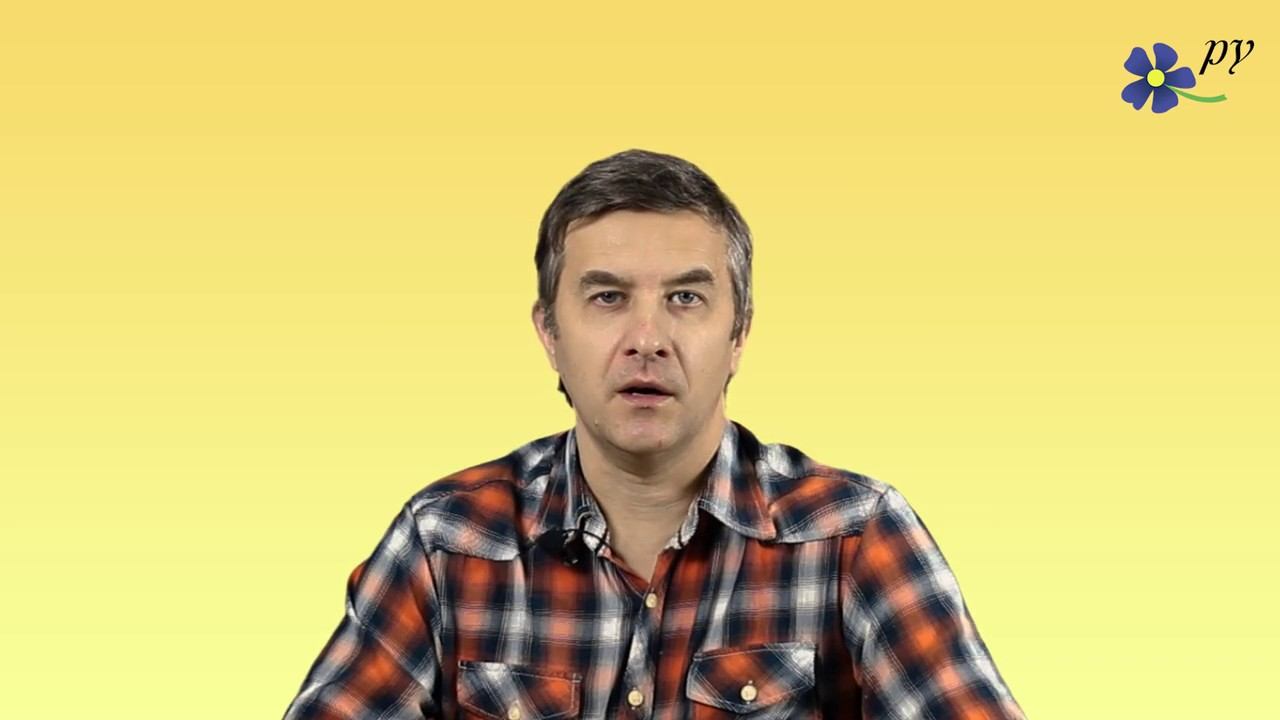 Инжир комнатный смотреть онлайн