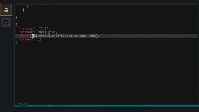 Understand CLN Plugin mechanism with a Python example | Live #1 смотреть онлайн