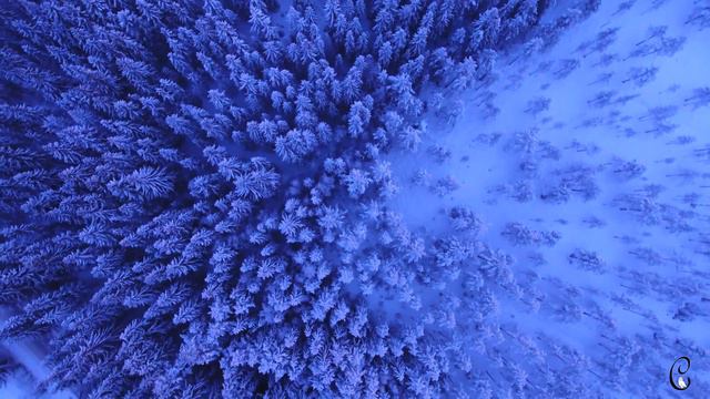 Второе Я | Прошлые жизни смотреть онлайн