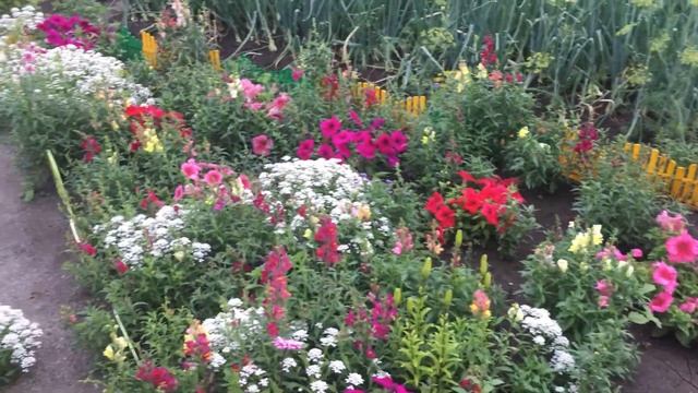 Vlog # 18 ! Сбросила - 12 кг ! Моё питание и рецепты БУЧ ! Правильное питание смотреть онлайн