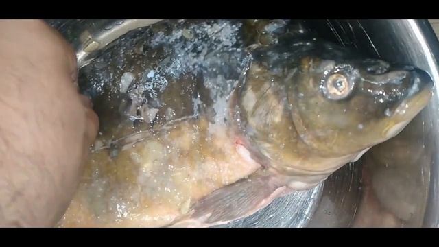 Карп в духовке смотреть онлайн