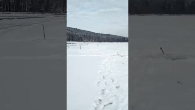 Первая "Зимняя рыба" НАЛИМ. смотреть онлайн