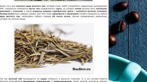 Желтый чай: особенности, вкусовые качества и полезность
