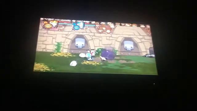 Castle Crashers Arena w/ my little bro. смотреть онлайн