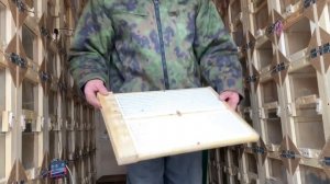 СОДЕРЖАНИЕ и ЗИМОВКА ПЧЕЛ В ПАВИЛЬОНАХ//ПАВИЛЬОН ДЛЯ ПЧЕЛ СВОИМИ РУКАМИ