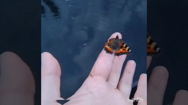 ? смотреть онлайн