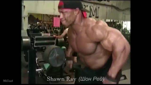 Бодибилдеры 