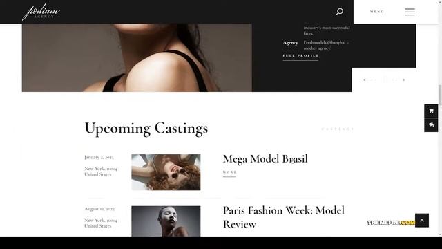 Nishikawa Fashion Model Agency WordPress Theme смотреть онлайн