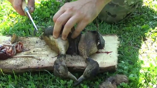 Охотничий нож Сурок. Нож из стали х12мф. смотреть онлайн