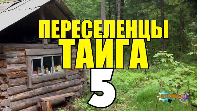 ПЕРЕСЕЛЕНЦЫ В ТАЙГЕ | МАССОВЫЙ ГОЛОД | ПОЖАР В ДЕРЕВНЕ | ЗНАХАРКА НАВОРОЖИЛА 5 смотреть онлайн