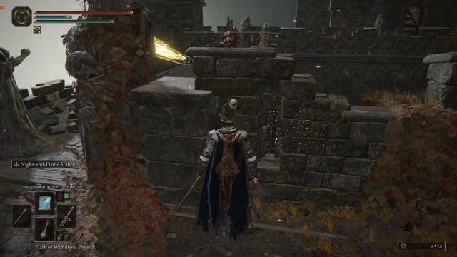 Elden ring, The journey continues... смотреть онлайн