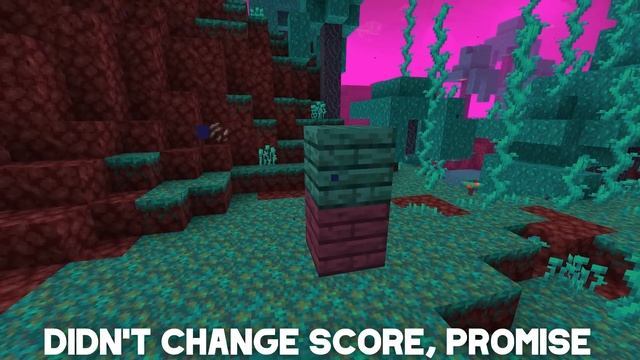 EVERY NEW NETHER BIOME RANKED WORST TO BEST! смотреть онлайн