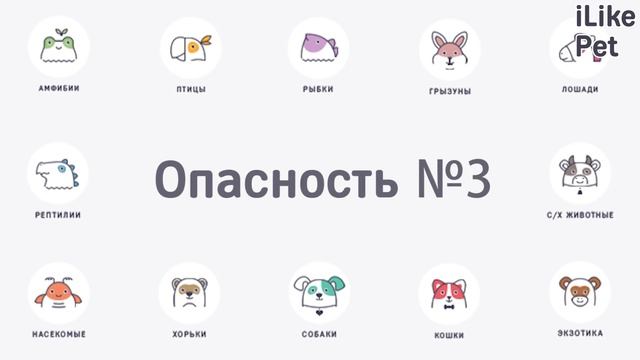 5 опасностей для кошки в доме смотреть онлайн