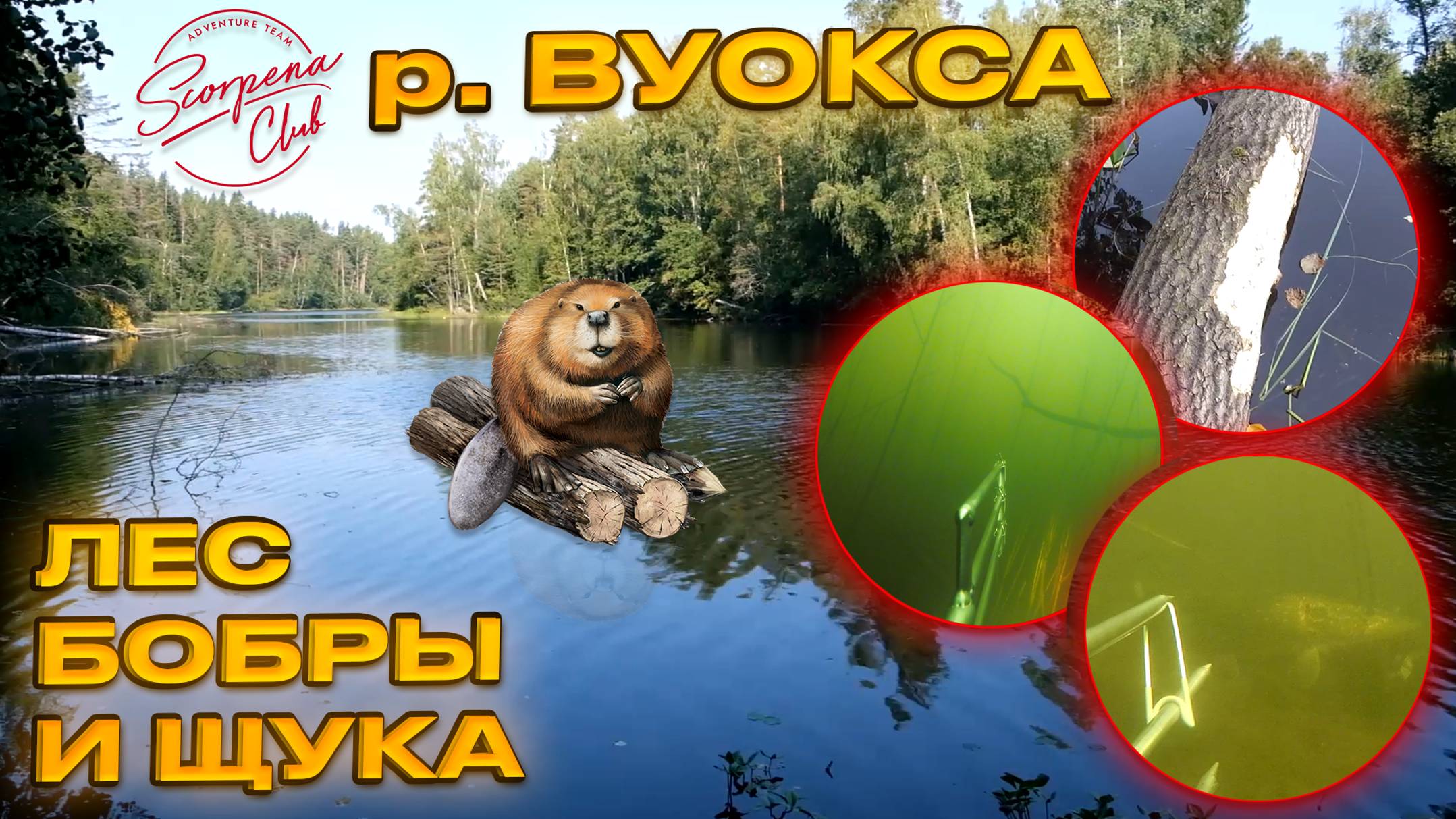 Подводная охота на реке Вуокса: итоги поездки Scorpena Club смотреть онлайн