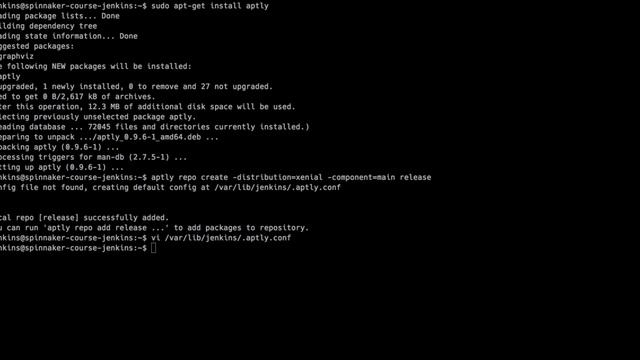Packaging app in Jenkins and Baking using Spinnaker смотреть онлайн