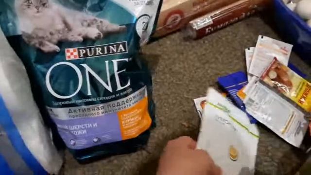 Пицца,закупка продуктов смотреть онлайн