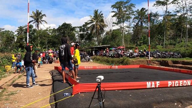 Kehebatan Jongki Lomba Merpati Kolong Adem Ayem Selopampang Temanggung смотреть онлайн