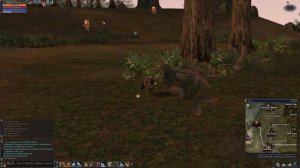 Lineage 2 C4 x1 Покупаю все виды цветов, начинаю поиски Люси - Прохождение Часть 116