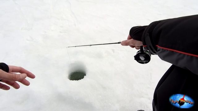 Весенний окунь, крупная сорога и жерлицы которые молчат..... смотреть онлайн
