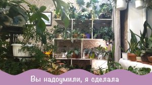 Подписчица сказала надо, Люба в ответ - есть!