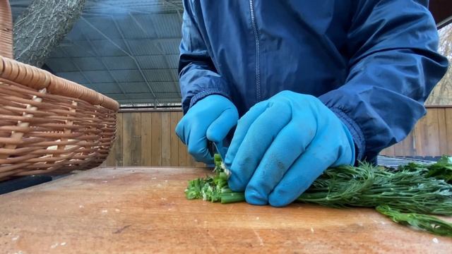 Супер-Шашлык(Кебаб) из ягнёнка на углях|Как приготовить вкусно на природе|Новый рецепт 2021|4k смотреть онлайн