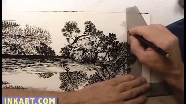 Scratchboard Drawing of General Grant Sequoia Tree смотреть онлайн