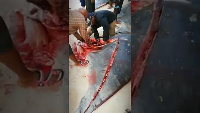 после рыбалки аукцион на берегу океана.Танзания.о.Занзибар смотреть онлайн