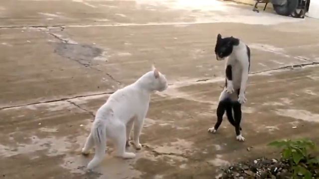 Кто выше этот круче!!!! смотреть онлайн