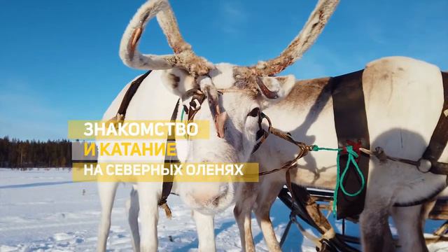 Saami holidays смотреть онлайн