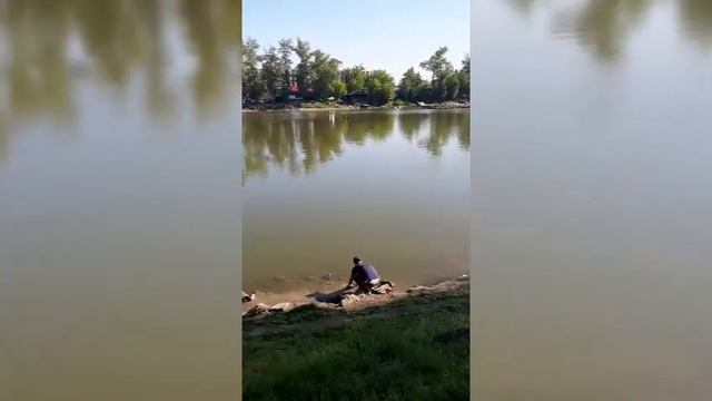 Котельники. Рыбалка на пруду в парке Белая дача смотреть онлайн