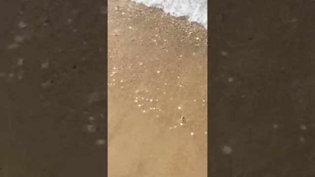 Футфетиш на Средиземном море смотреть онлайн