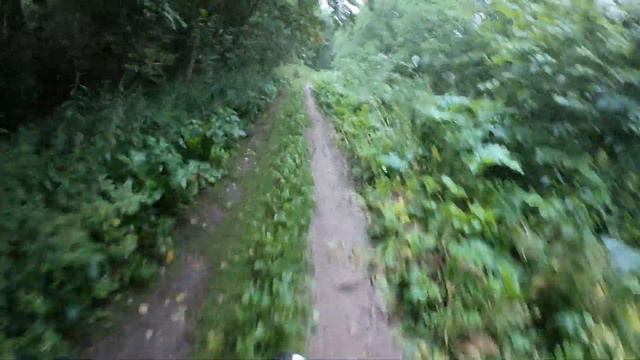 Что меня ждет в этих дивных и диких местах......!? Первая часть смотреть онлайн