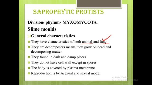 CLASS-11 CHAPTER-2 PART- 16 BIOLOGICAL CLASSIFICATION-KINGDOM PROTISTA-PHYLUM-MYXOMYCOTA-SLIME MOUL смотреть онлайн