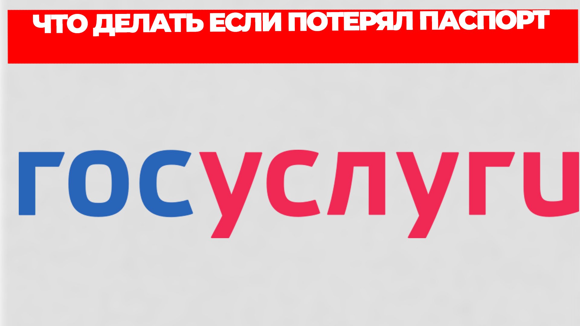 Всезнающий Енот