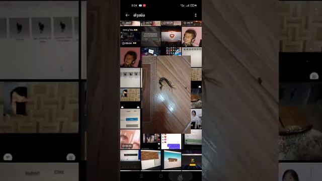 qhia mus download lub google lens los mus screen duab haum xov tooj смотреть онлайн