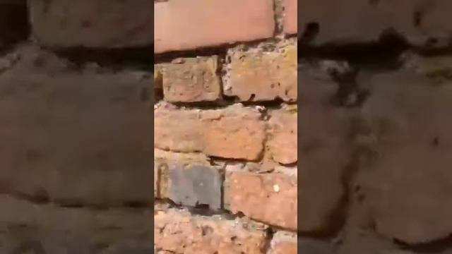 Варшавский Барбакан смотреть онлайн