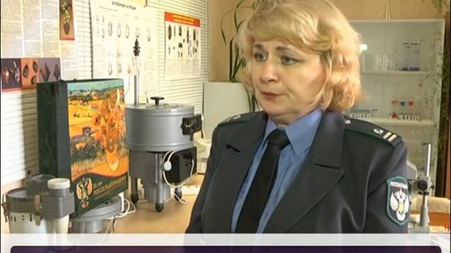 Выведение жука кожееда