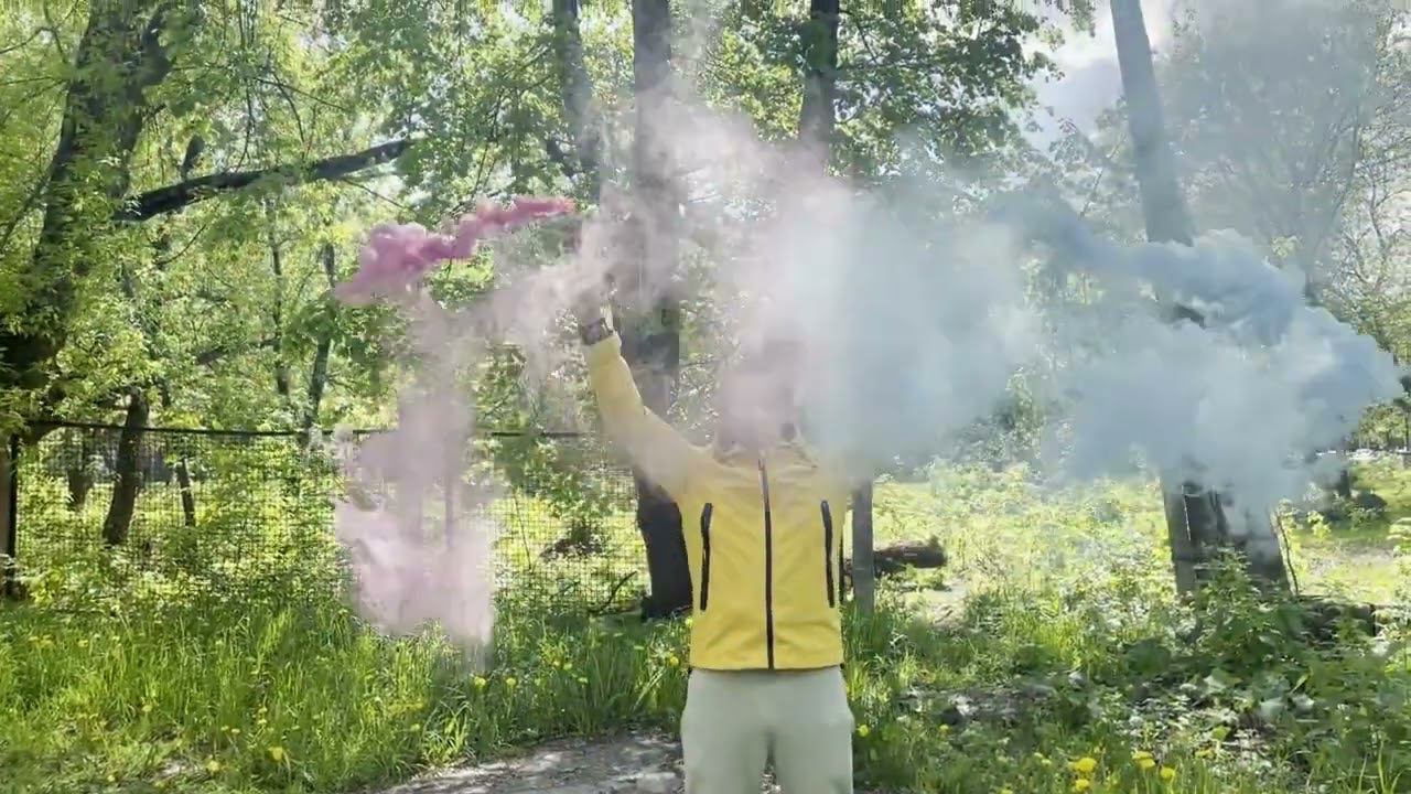 Цветной дым для гендер пати смотреть онлайн