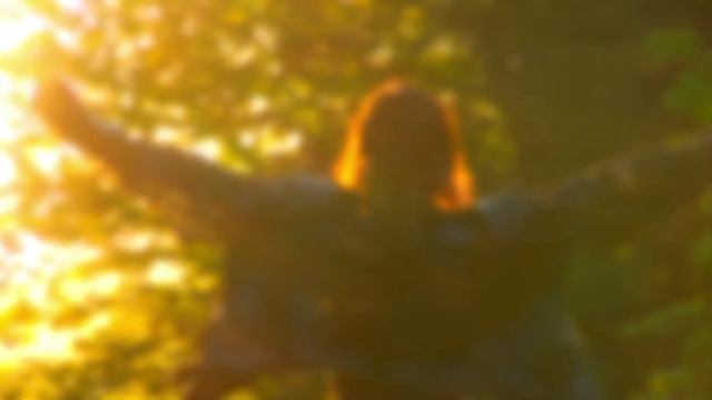 Free - Lindsey Webster